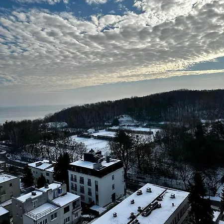 Avis Matejki Gdynia
